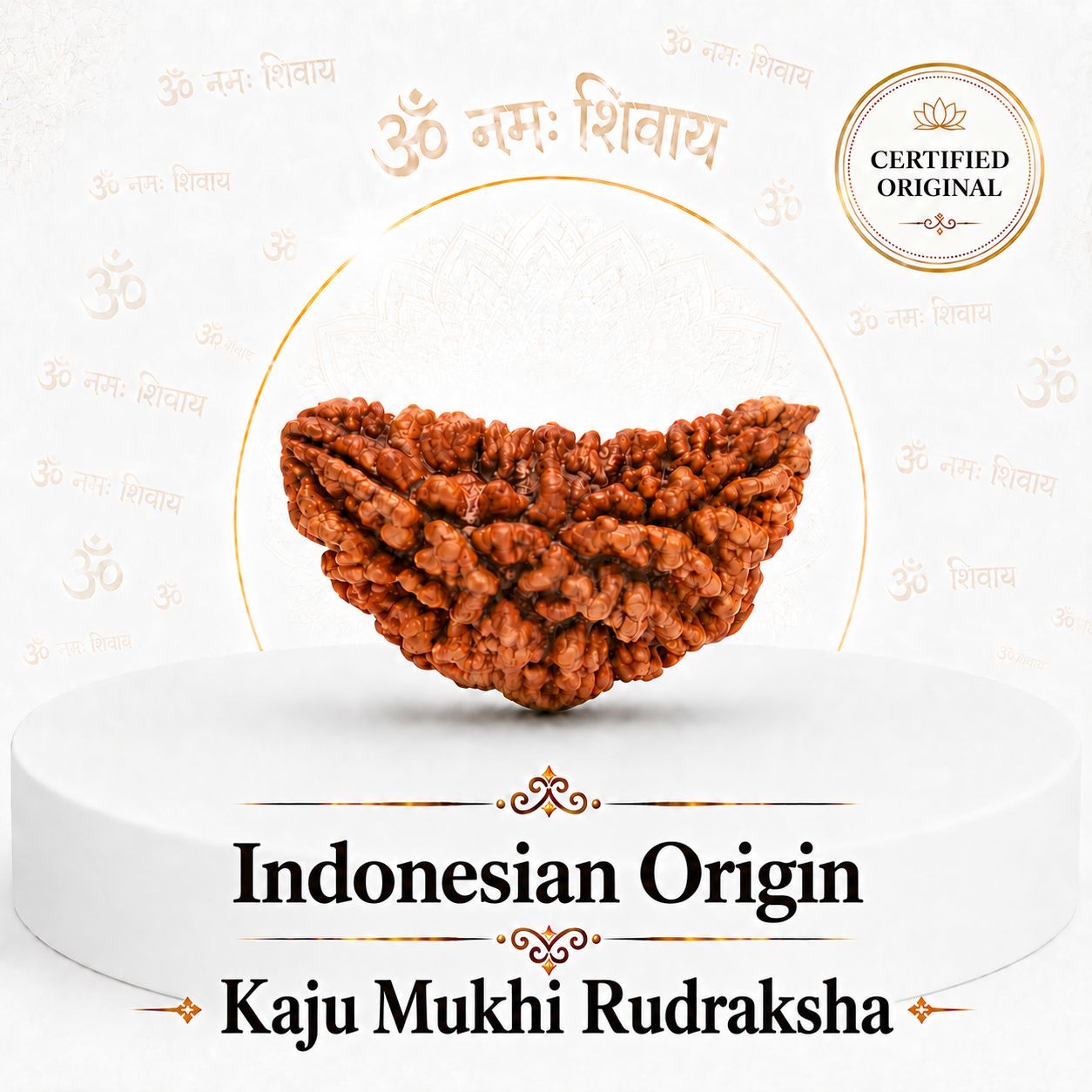 Kaju Mukhi Rudraksha